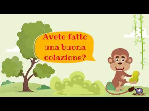 Viaggio in Italia Settentrionale