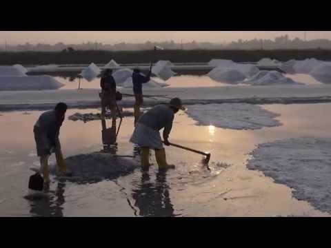 Für eine Prise Salz