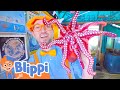 Blippi Learns About Ocean Animals Best Animal Videos For Kids Kids Songs And Nursery Rhymes