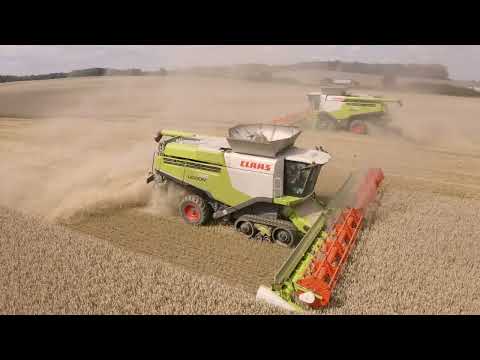 Weizenernte 2023 I Babbe I 2x Claas Lexion 780 & Claas Xerion 4200