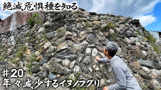 [Endangered species] The famous Japanese name Inufuguri that is also included in the 20th quiz ...