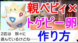 トゲピー ポケットモンスター ゼルネアス ホウオウ ノクタス トゲピー ポケットモンスター ゼルネアス ホウオウ ノクタス