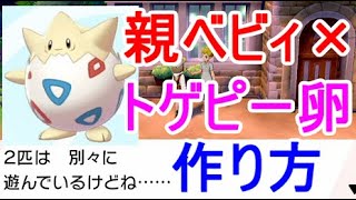 トゲピー ポケットモンスター ゼルネアス ホウオウ ノクタス