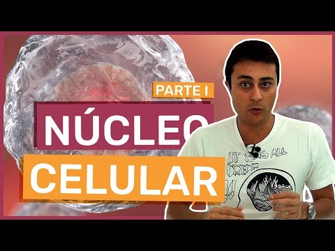 Núcleo Celular - Parte 1 - Prof. Paulo Jubilut