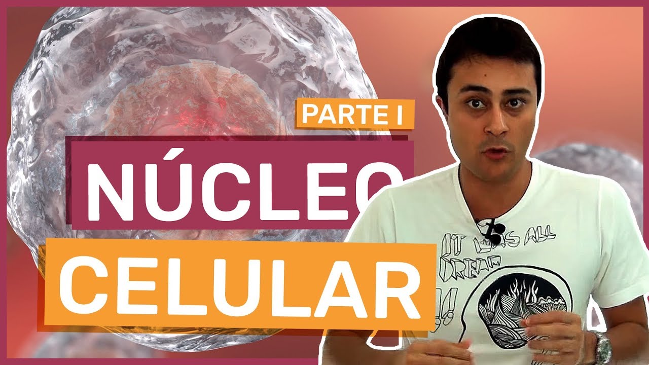 Núcleo Celular - Parte 1 - Prof. Paulo Jubilut