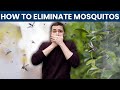 Get rid of mosquitos! Call Blue Duck Lawn Care today!