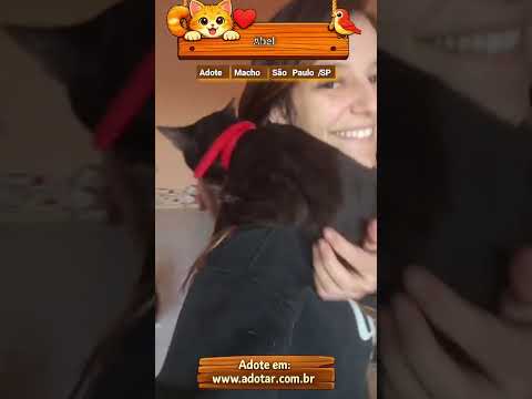 Vídeo de Abel