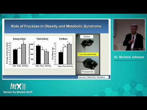 Prof. Richard Johnson - 'Nature Wants Us To Be Fat'