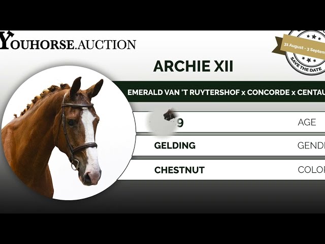 Archie XIII