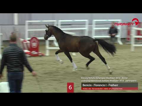 06 Hengst v. Benicio - Florencio I - Freiherr
