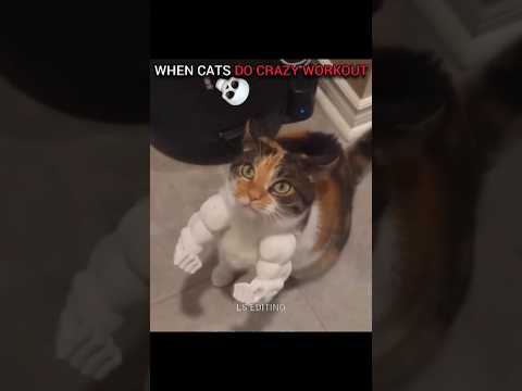 Bro Did Really Work Out 💀