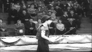 A trapeze artist and a trained hippopotamus perform at the circus in Russia. HD Stock Footage