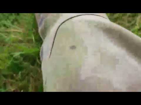 Teknivalpes 2017 - Petit tour d'horizon