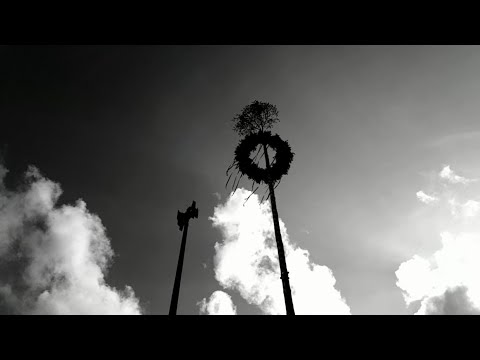 Maienlied - Darkwood