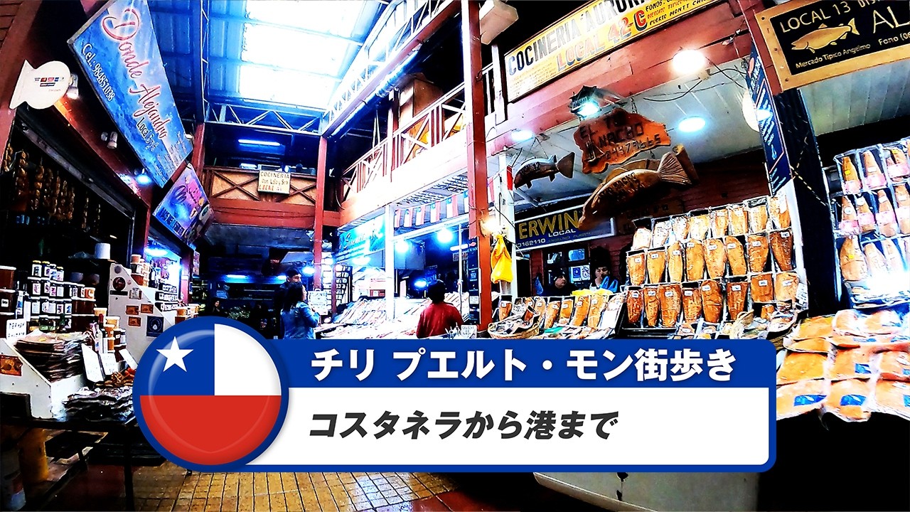 【チリ】プエルト・モン③コスタネラから港まで