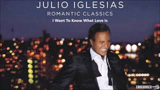 Julio Iglesias - I Want To Know What Love Is (2006)