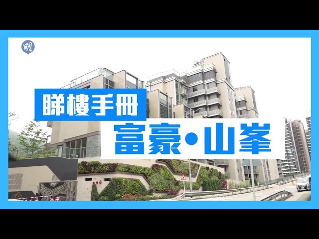 富豪山峰 沙田 全幢 1830286 售盤