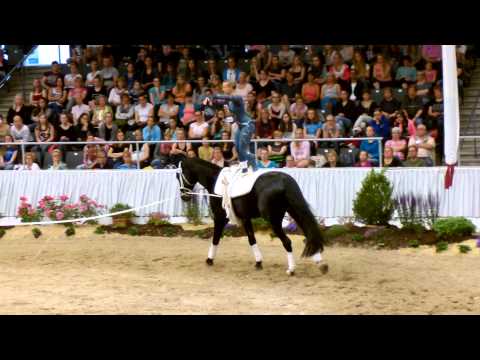 Anja Traub Norka-Trophy CVIO Verden 2015