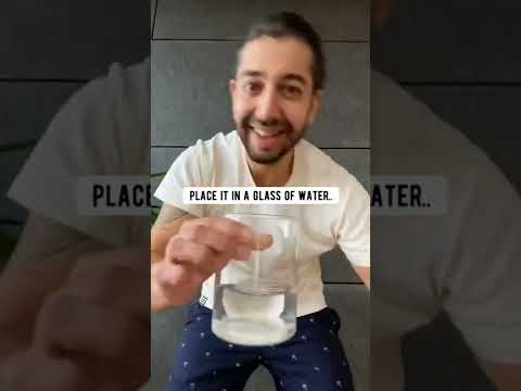 Clone a Snake Plant with One Leaf | creative explained