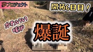 暖炉爆誕！山の開拓6日目にして物作りに挑戦！