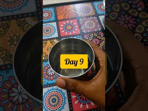 Day 9 vlog of 21 Days healthy eating challenge| #trending #slim21 #teluguvlogs #youtubeshorts