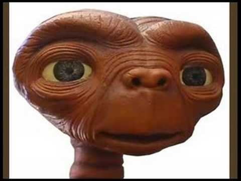 Lokendo - La Pepa chocha