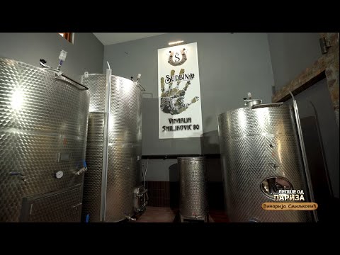 Mesto koje spaja tradiciju, prirodu i gostoprimstvo | VINARIJA SMILJKOVIĆ, Drenča | Lepše od Pariza