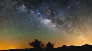 Sunflower Sutra Allen Ginsberg Cover