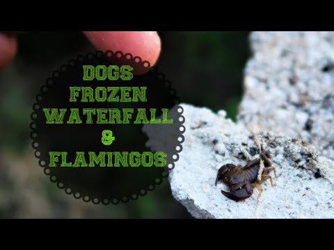 [GO.TO] SARDINIA #1 // Dorgali - Muravera - Cala Regina