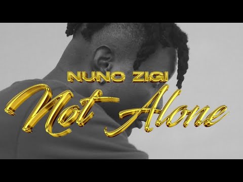 Nuno Zigi - Not Alone (Visualizer)