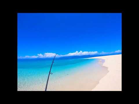 Overnight at sand cay #trout #worst #fishermen #ever #spear #fishing