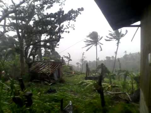TYPHOON RUBY 2014