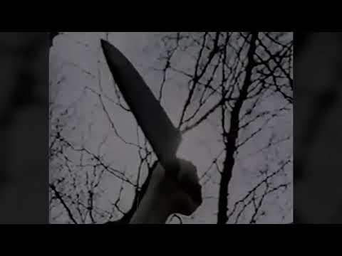 [FREE] DARK HARD PHONK x SUICIDEBOYS TYPE BEAT - "CURSED FORESTS" | [prod. MAJZKLUANI]