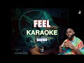 Davido - Feel karaoke