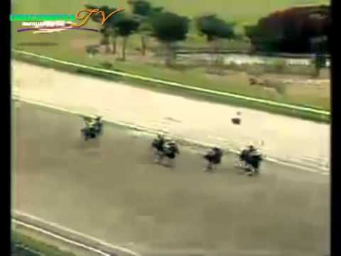 LA RINCONADA 10 CARRERA, DOMINGO 19 D EOCTUBRE DEL 2014