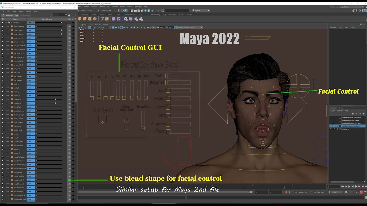 Male Base Rig 3D Model