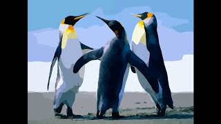 Le Pingouin... Carla Bruni [Positive Life]