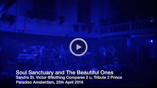 Soul Sanctuary-The Beautiful Ones | SSV at Paradiso Amsterdam 25th April 2016