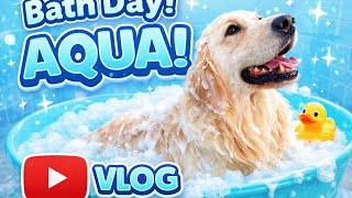 Aqua’s Spa Day Routine 🐶 Oil Massage, Funny Dinosaur Bath & Sunny Walk #dog 
