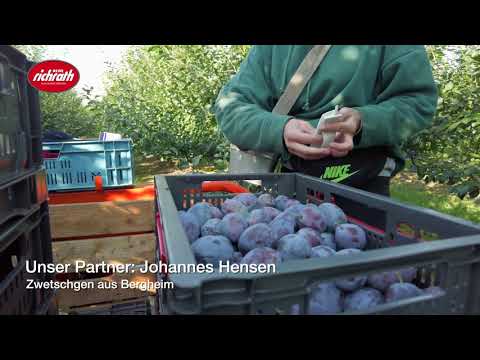 WIR AUS DER REGION: Familie Hensen aus Bergheim - Regionale Zwetschgen