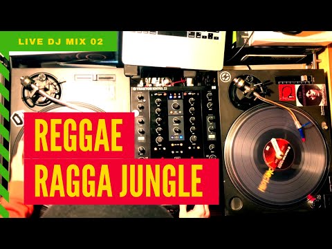 Reggae, Dancehall, Ragga Jungle Live DJ Mix | Whatafunk Session #2
