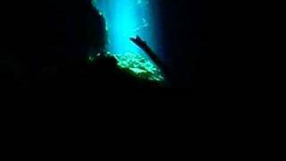 preview picture of video 'Scuba in Tajmahal Cenote'