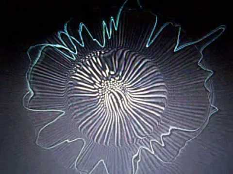 The XX (intro) vs. Notorious B.I.G. (dead wrong)