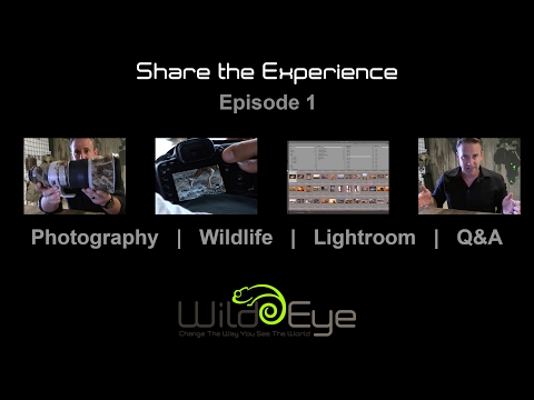 Share the Experience - Episode1