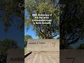 Concentration Camp In Barth Germany On The 80th Anniversary Of V E Day Wwii Visitgermany