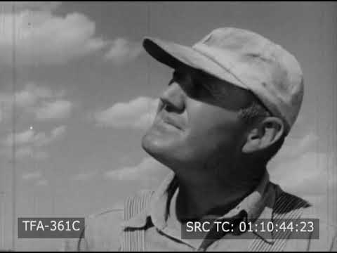 The Wheat Farmer (1956)