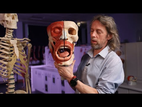 Dysphonia, dysarthria, dysphasia and dysphagia - what are they and why are they different?