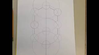 How to draw the tree of life