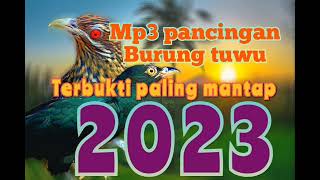 Download lagu mp3 pancingan burung tuwu paling mantap 2003 mp3