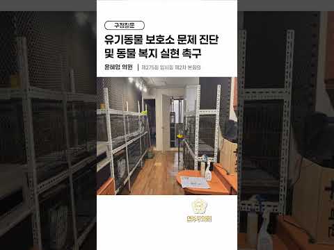 유기동물 보호소 문제 진단 및 동물 복지 실현 촉구